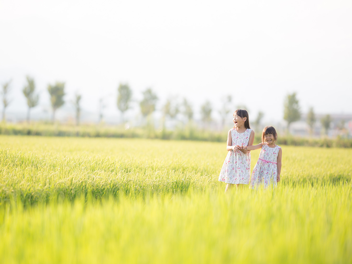 そもそも、なぜアレルギー体質になるの？