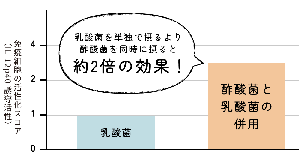 酢酸菌と乳酸菌を同時に摂ると、さらに約2倍のアレルギー効果！