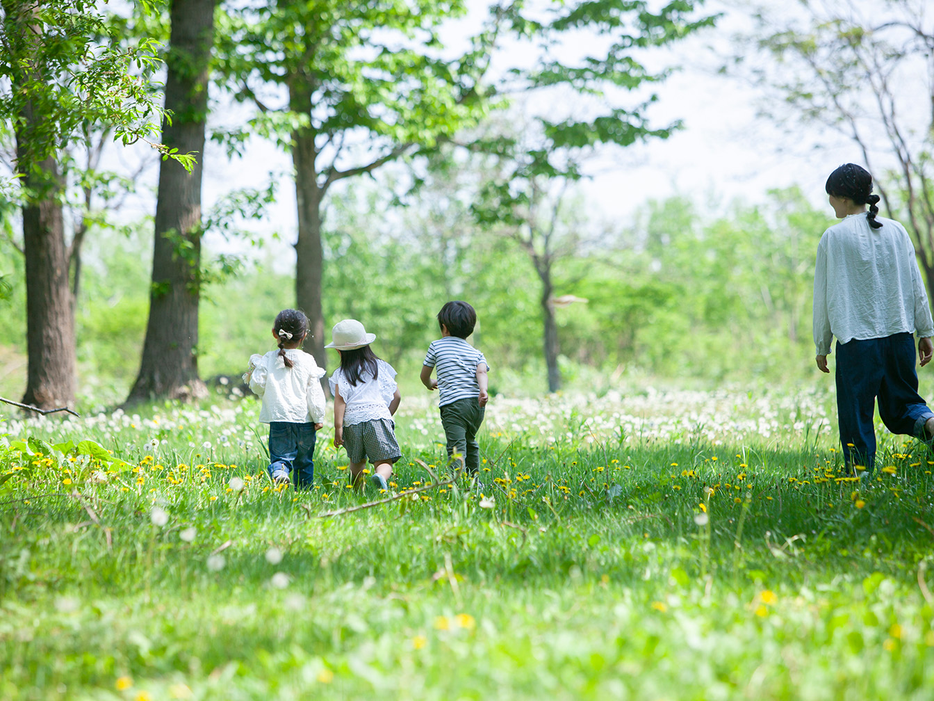 グラム陰性菌でアレルギーに強い免疫細胞を育てる